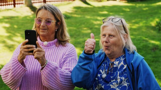 Bild ur Appar för blommor och bin