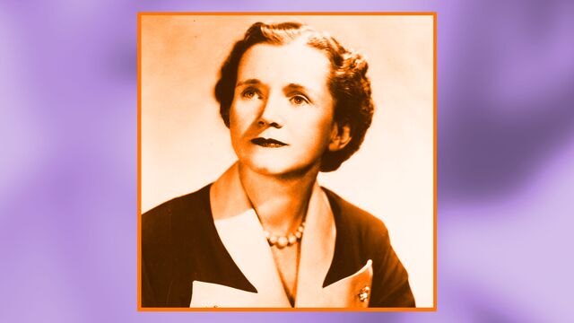 Bild ur Rachel Carson - när fåglarna tystnar