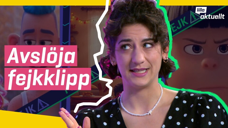 Programbild