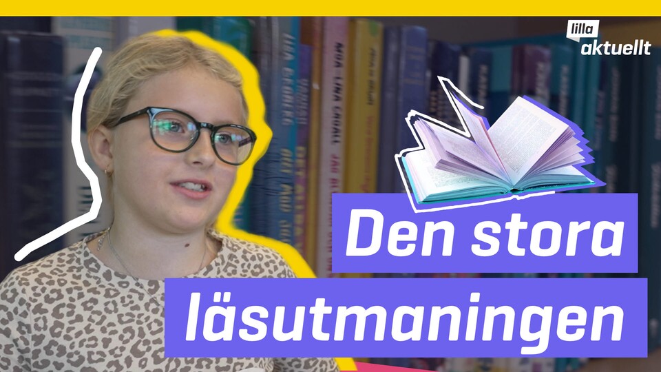 Programbild