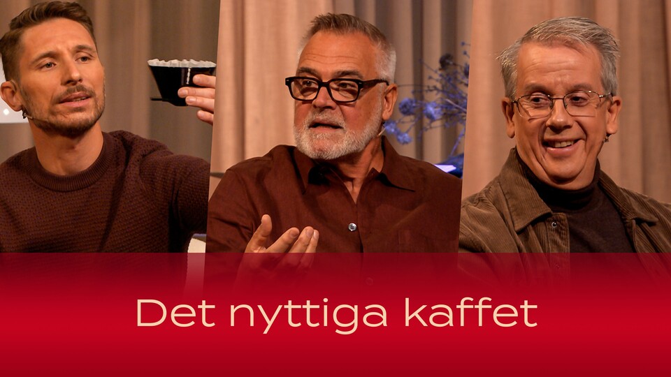 Programbild