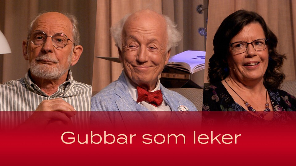 Programbild