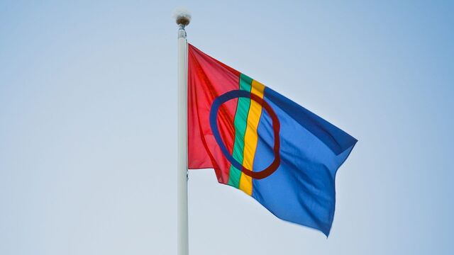 Bild ur Vår gemensamma flagga