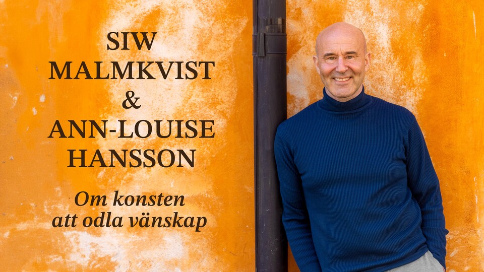 Programbild