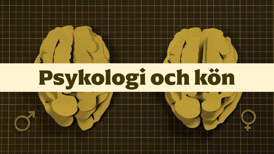 Programbild