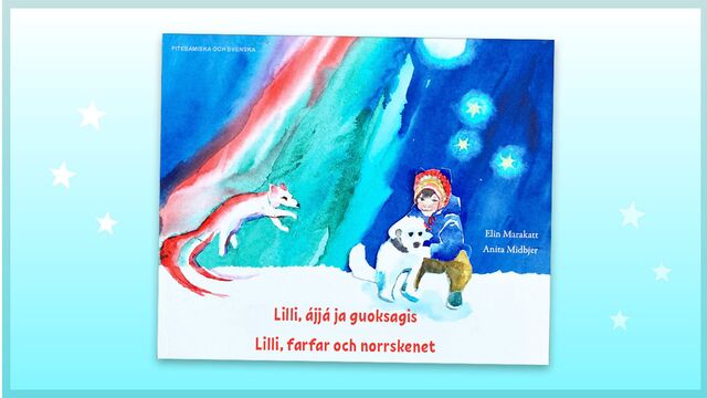 Bild ur Lilli, farfar och norrskenet