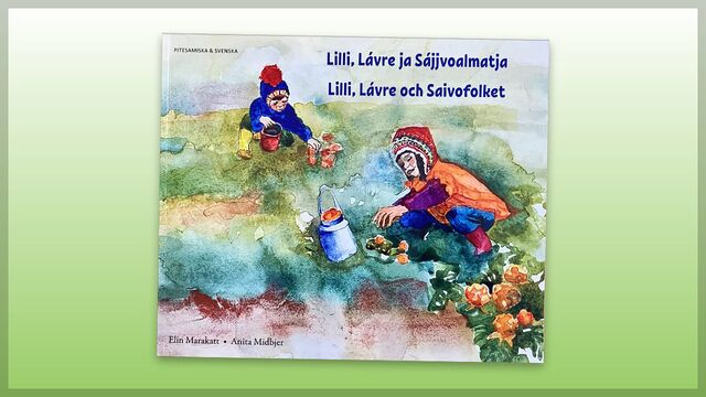 Bild ur Lilli, Lávre och saivofolket