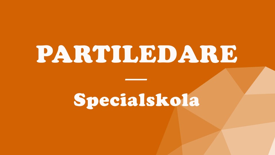 Programbild