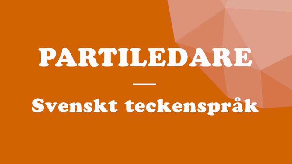 Programbild