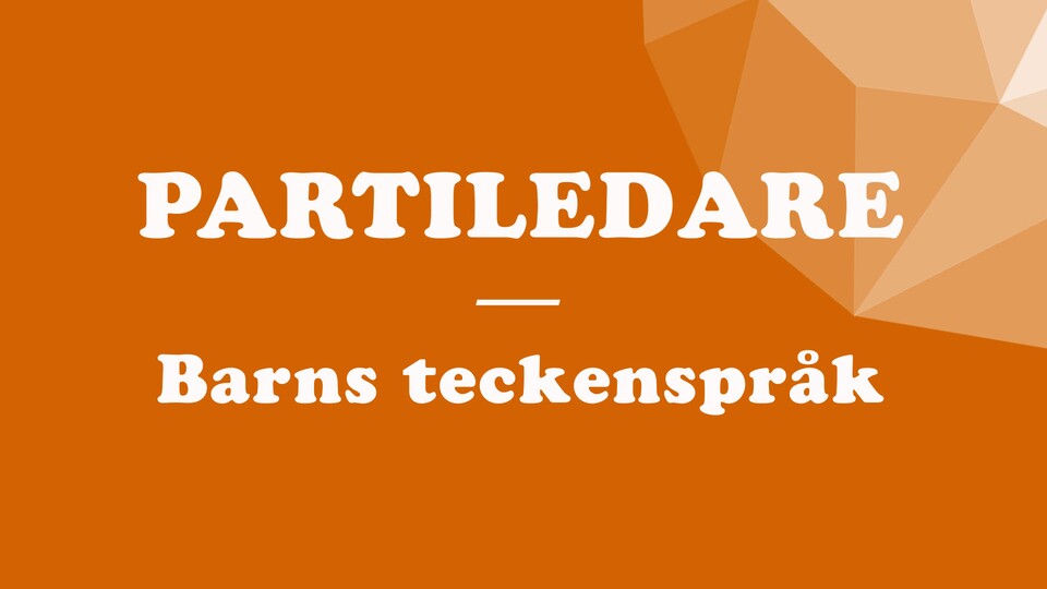 Programbild