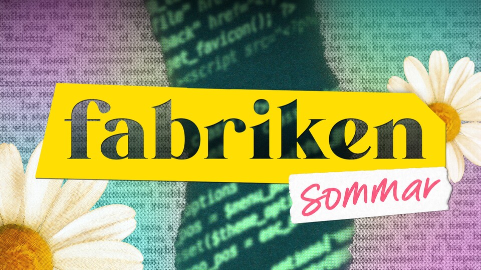 Programbild