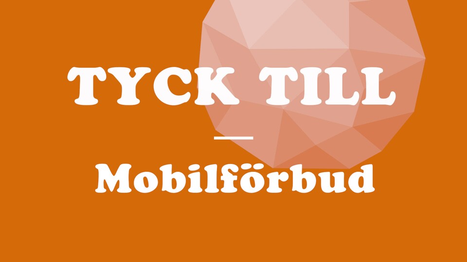 Programbild