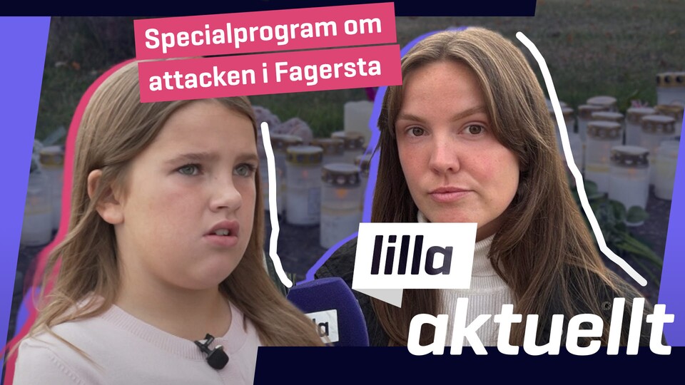 Programbild