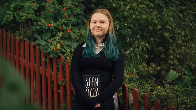 Bild ur Stenöga av Maria Frensborg